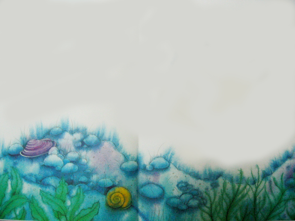 The Rainbow Fish (02),绘本,绘本故事,绘本阅读,故事书,童书,图画书,课外阅读
